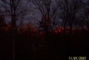 A spectacular tree top sunset out our front door