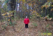 Along a trail in Moore's Falls Conservation area