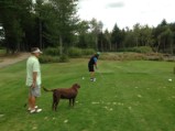 Bruce in shorts...back 9