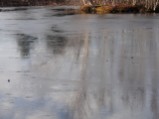 Balls on pond