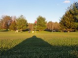 Long shadows late