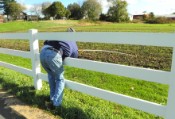 Paulie Ball Retrieval