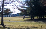 Pete on 16 tee while playing 14