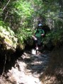 Descending Coe Trail