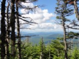 View from wooded summit