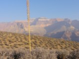 Perspective - Nate comes along a finger on the Tonto Trail