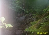 Dan crosses a boulder brook on the Cedar Trail on the way down