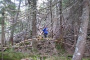 Bushwhacking towards Mendon Peak