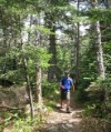 On Appalacian Trail seeking good bushwhack entry point