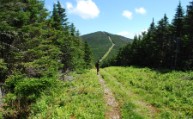 A cool view of the swath up onto Boundary Peak