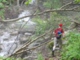 Rain makes for nice running streams