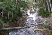 Along the Cascades on the Beaver Brook Trail 4