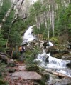 Along the Cascades on the Beaver Brook Trail 5