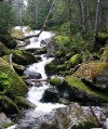 Along the Cascades on the Beaver Brook Trail 6