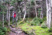 Short trees, thin cover, hands in pockets