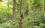 Nate pulls away at a torrid ascent pace