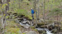 Early on the Skookumchuk Trail