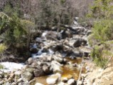 Burbling brook with snow on the shore