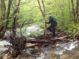 Bruce on another creek crossing