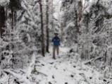 Nate on York Pond Trail as snow increases