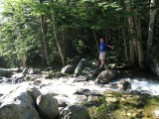 Bruce contemplates route across an early brook