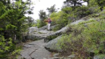 Monadnock Hike - getting back into the tree line on the descent