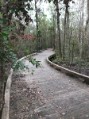 Elevated trails through the central forest