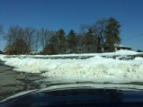 Green Meadow golf carts in March