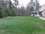 Screen porch and back yard