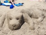 Sand dog