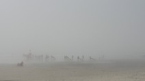 Rye - Surfers in the lingering morning mist