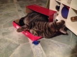 I love a box...who says you have to fit