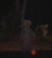 Bruce in the Haunted Tree costume