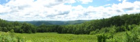 East Summit view in Florida MA - panorama