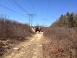 Everybody was out sharing the trail