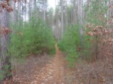 Nate on the last of the 3.0 mile Fire Line