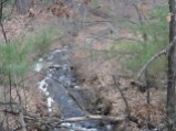 Falls running to river