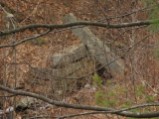 Remnants of old granite structure