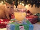 Tucker eyeing a mimosa