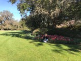 Wilmington Visit - Airlie Gardens 3