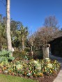 Wilmington Visit - Airlie Gardens 4