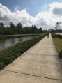 Biking along Brunswick Parkway