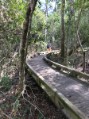 Trail through the preserve