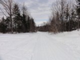 Trail towards Dorchester