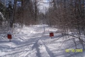 Ice glimmers on trees cloaking an ungroomed narrow trail headed towards Benton