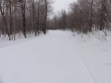 Heading up from the bottom of Nichols Hill