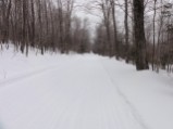 Road to Rumney Junction