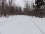 Town Line Pond Trail