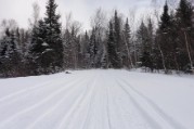 Four inches of fresh powder in the elevations