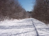 A smooth, frozen morning, ice in the trees....